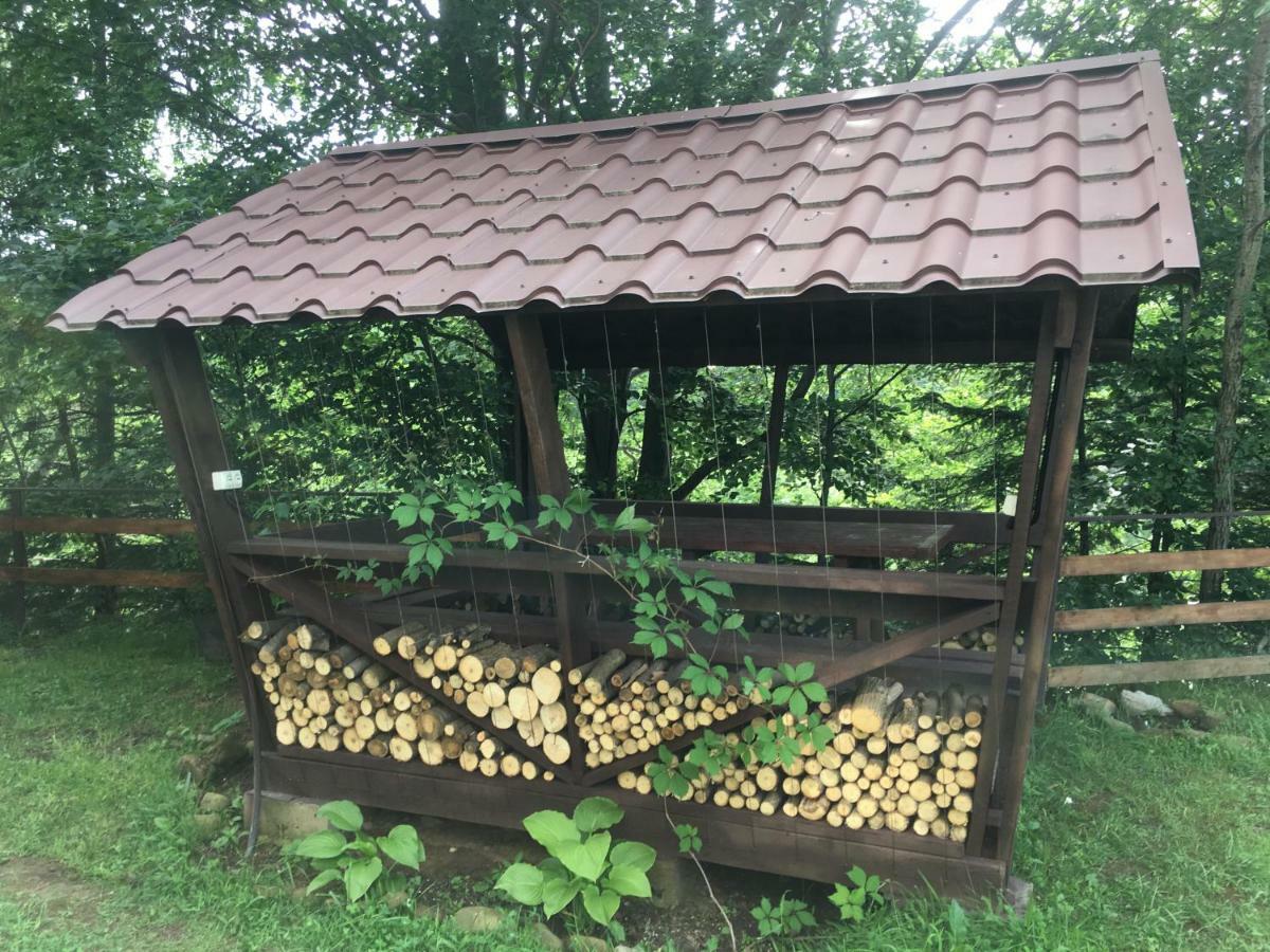 Mini-Hotel Serpanok 米库利钦 外观 照片
